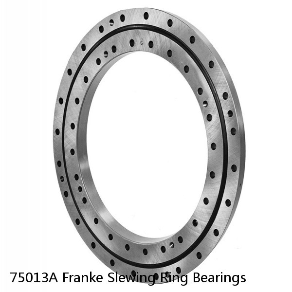 75013A Franke Slewing Ring Bearings