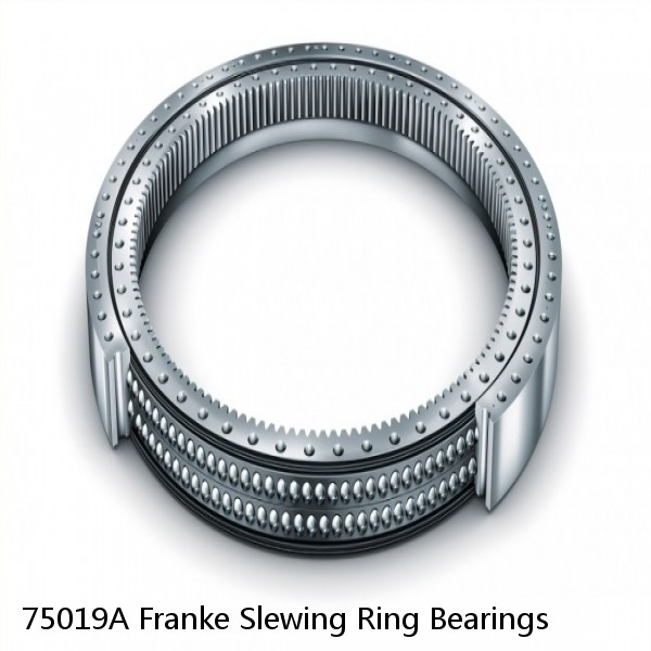 75019A Franke Slewing Ring Bearings