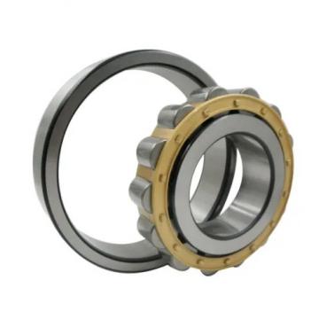1.969 Inch | 50 Millimeter x 5.118 Inch | 130 Millimeter x 1.22 Inch | 31 Millimeter  CONSOLIDATED BEARING NJ-410 W/23  Cylindrical Roller Bearings