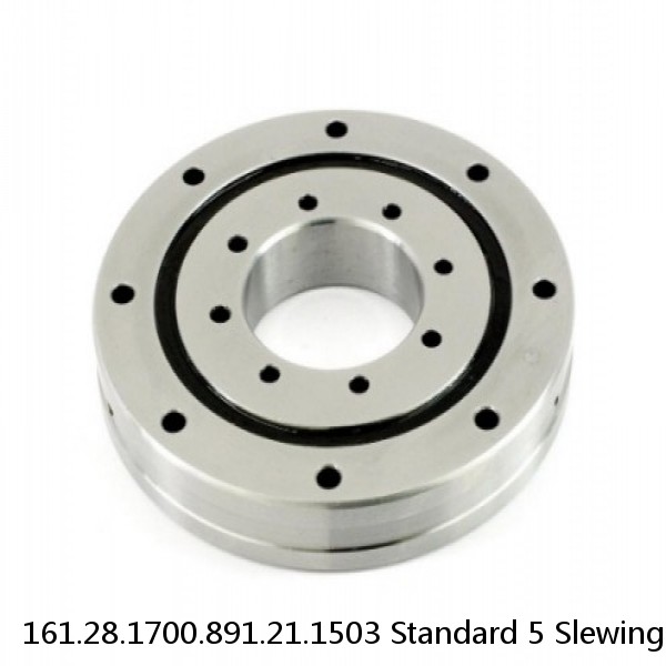 161.28.1700.891.21.1503 Standard 5 Slewing Ring Bearings