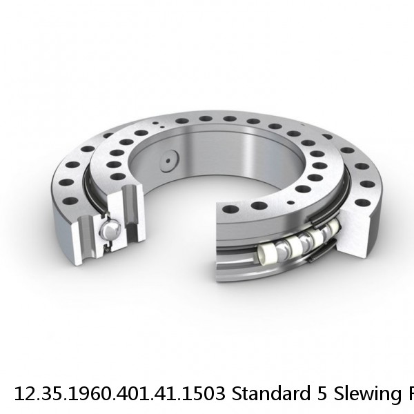 12.35.1960.401.41.1503 Standard 5 Slewing Ring Bearings