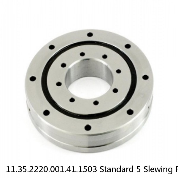 11.35.2220.001.41.1503 Standard 5 Slewing Ring Bearings