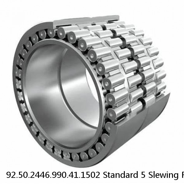 92.50.2446.990.41.1502 Standard 5 Slewing Ring Bearings