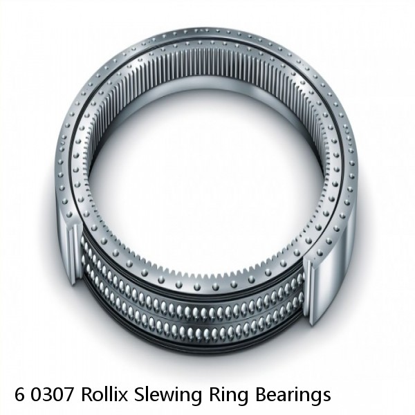 6 0307 Rollix Slewing Ring Bearings