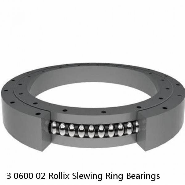 3 0600 02 Rollix Slewing Ring Bearings