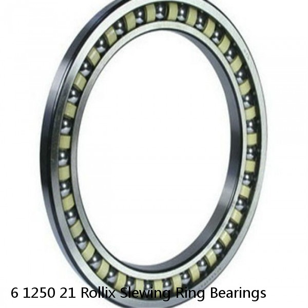 6 1250 21 Rollix Slewing Ring Bearings