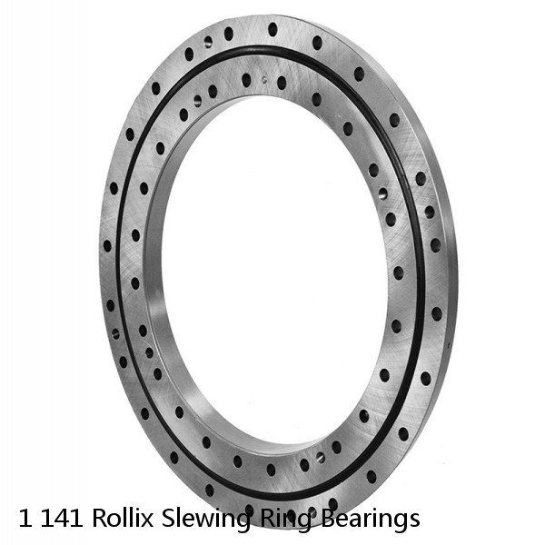 1 141 Rollix Slewing Ring Bearings