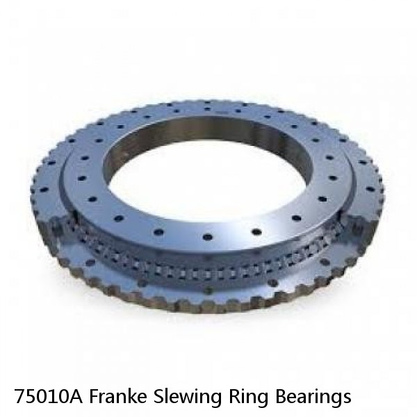 75010A Franke Slewing Ring Bearings