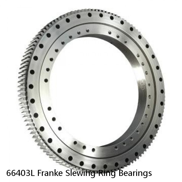 66403L Franke Slewing Ring Bearings