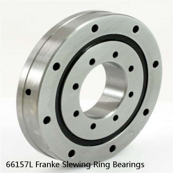 66157L Franke Slewing Ring Bearings