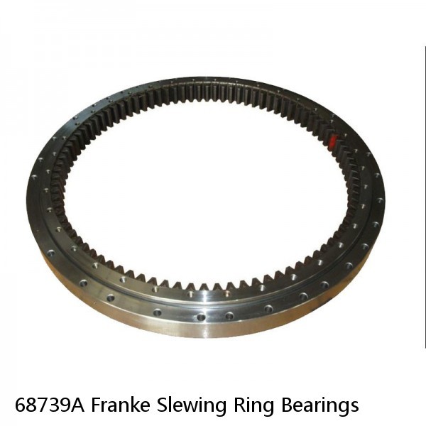 68739A Franke Slewing Ring Bearings