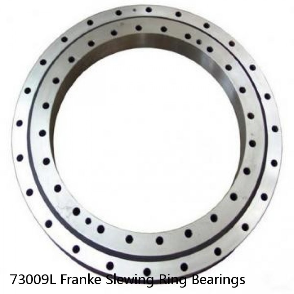 73009L Franke Slewing Ring Bearings