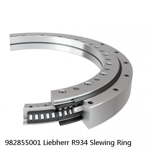 982855001 Liebherr R934 Slewing Ring