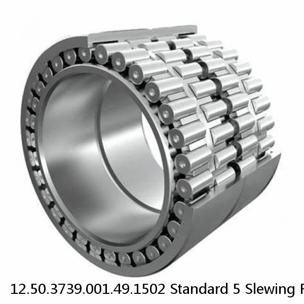 12.50.3739.001.49.1502 Standard 5 Slewing Ring Bearings