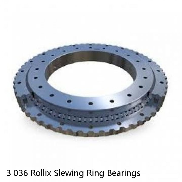 3 036 Rollix Slewing Ring Bearings