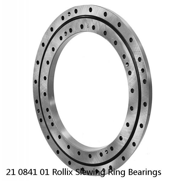 21 0841 01 Rollix Slewing Ring Bearings