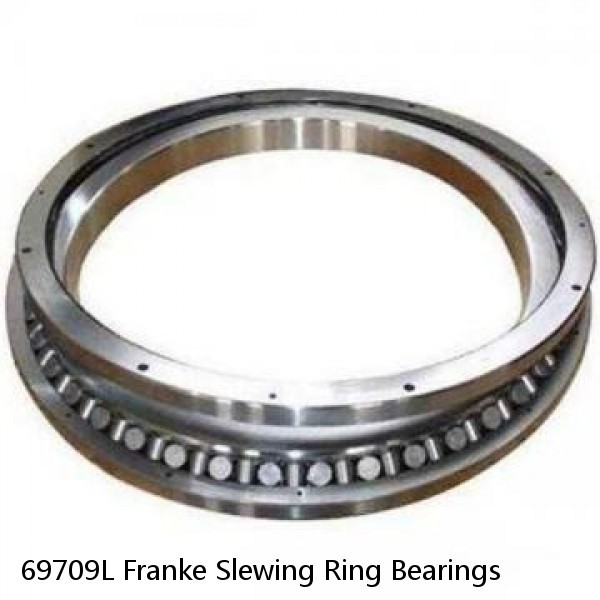 69709L Franke Slewing Ring Bearings