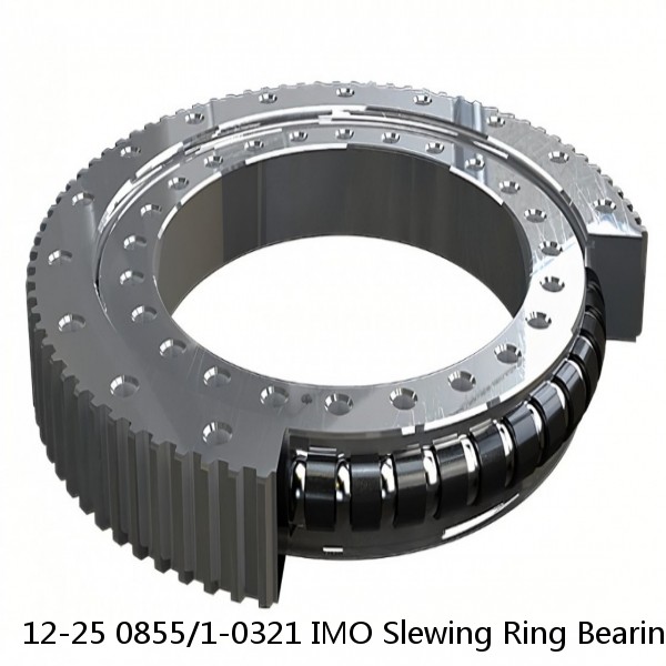 12-25 0855/1-0321 IMO Slewing Ring Bearings